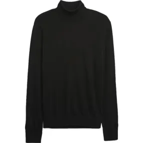 GAP MERINO TURTLENECK